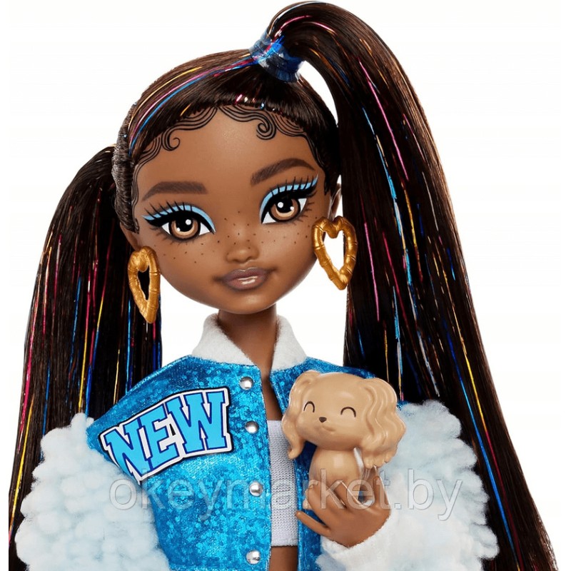Кукла Mattel Barbie Dream Besties Бруклин + 8 аксессуаров HYC22