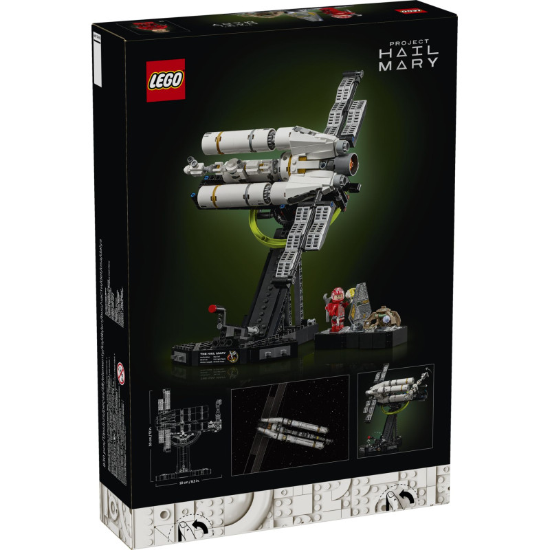 11389 LEGO ICONS Проект «Аве Мария»