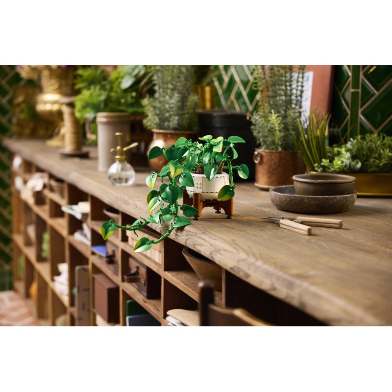 11512 LEGO Botanicals Висячий золотистый потос