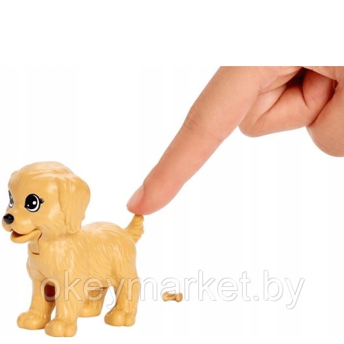 Кукла Barbie с домашними питомцами FXH08