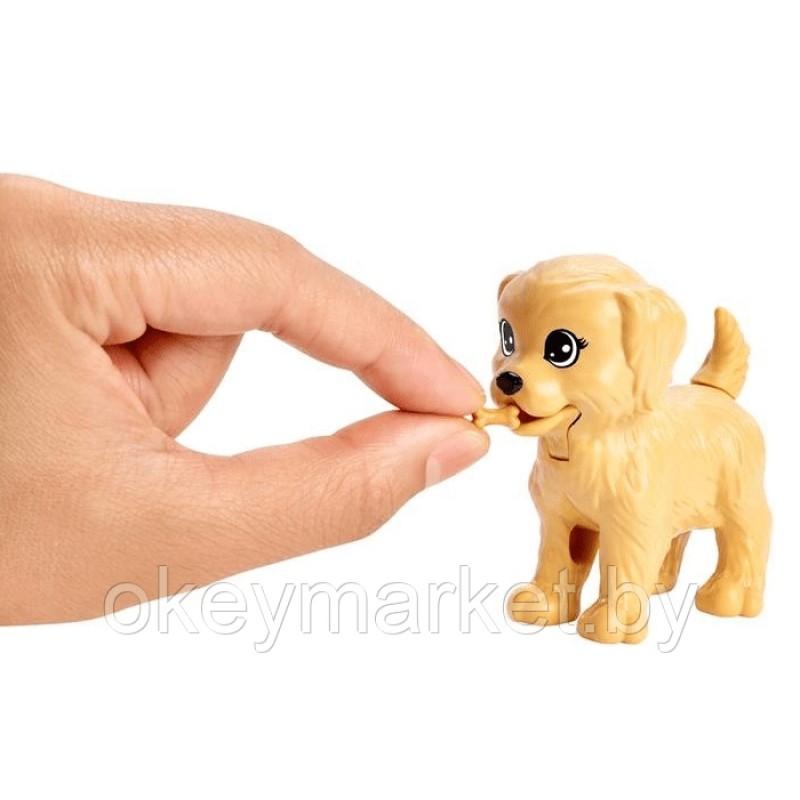 Кукла Barbie с домашними питомцами FXH08