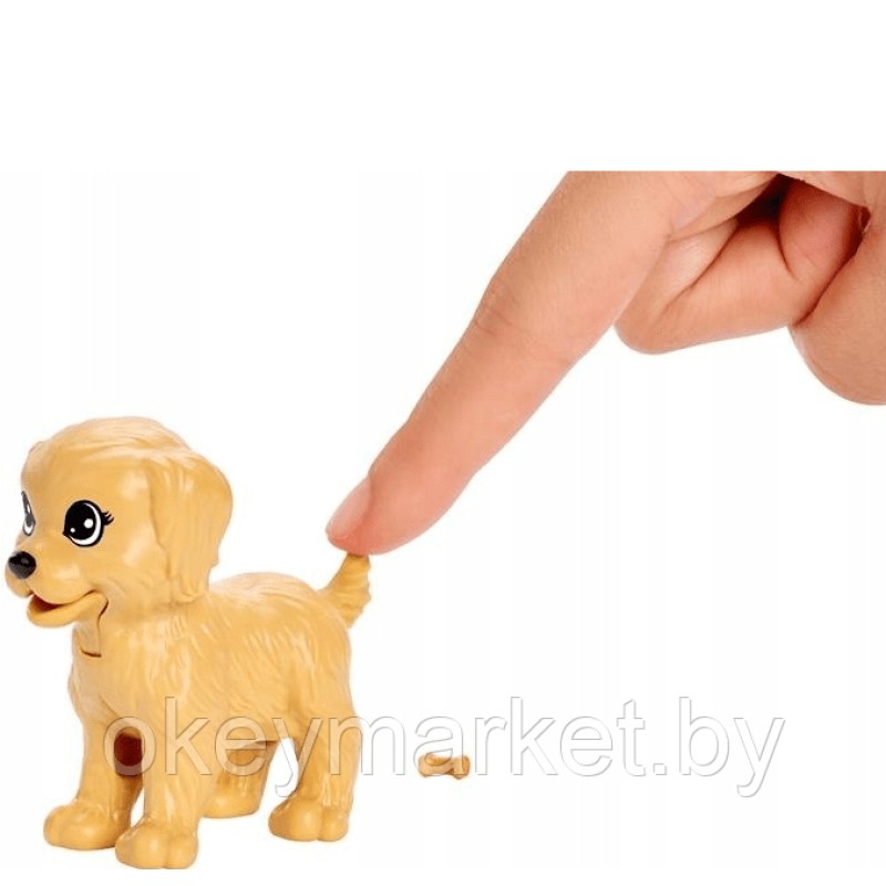 Кукла Barbie с домашними питомцами FXH08