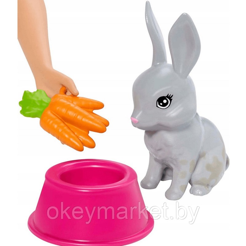 Игровой набор с куклой Barbie Домашние питомцы FXH11