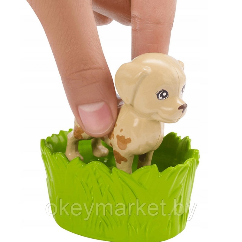 Игровой набор с куклой Barbie Домашние питомцы FXH11