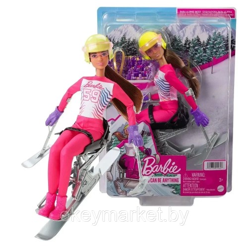 Кукла Barbie Зимние виды спорта Лыжник-паралимпиец HCN33
