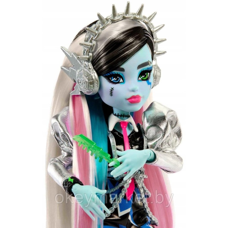 Кукла Монстер Хай Френки Штейн, Рок-Звезда - Monster High HNF84