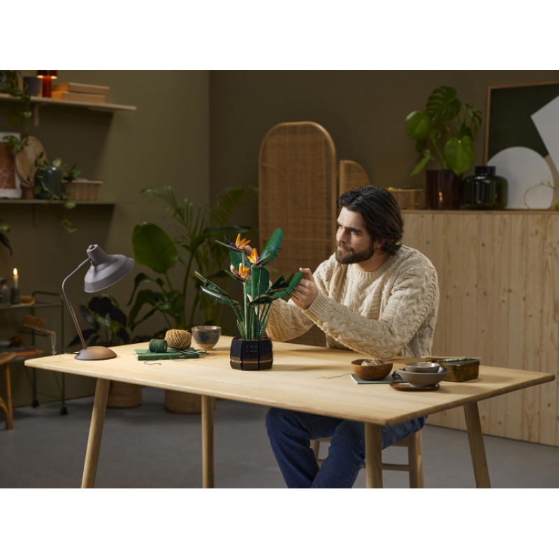 10289 Lego Creator Райская птица