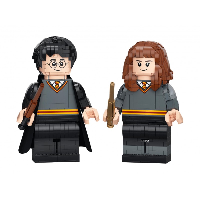 76393 Lego Harry Potter Гарри Поттер и Гермиона Грейнджер