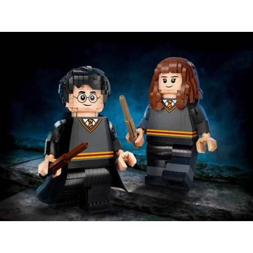 76393 Lego Harry Potter Гарри Поттер и Гермиона Грейнджер