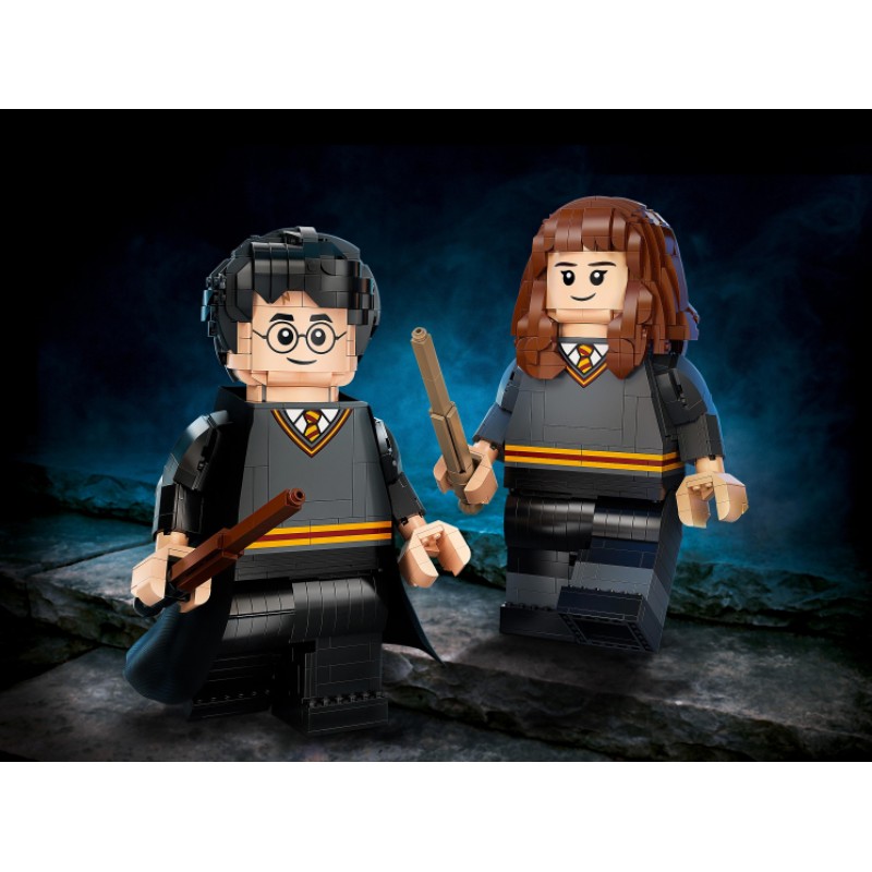 76393 Lego Harry Potter Гарри Поттер и Гермиона Грейнджер