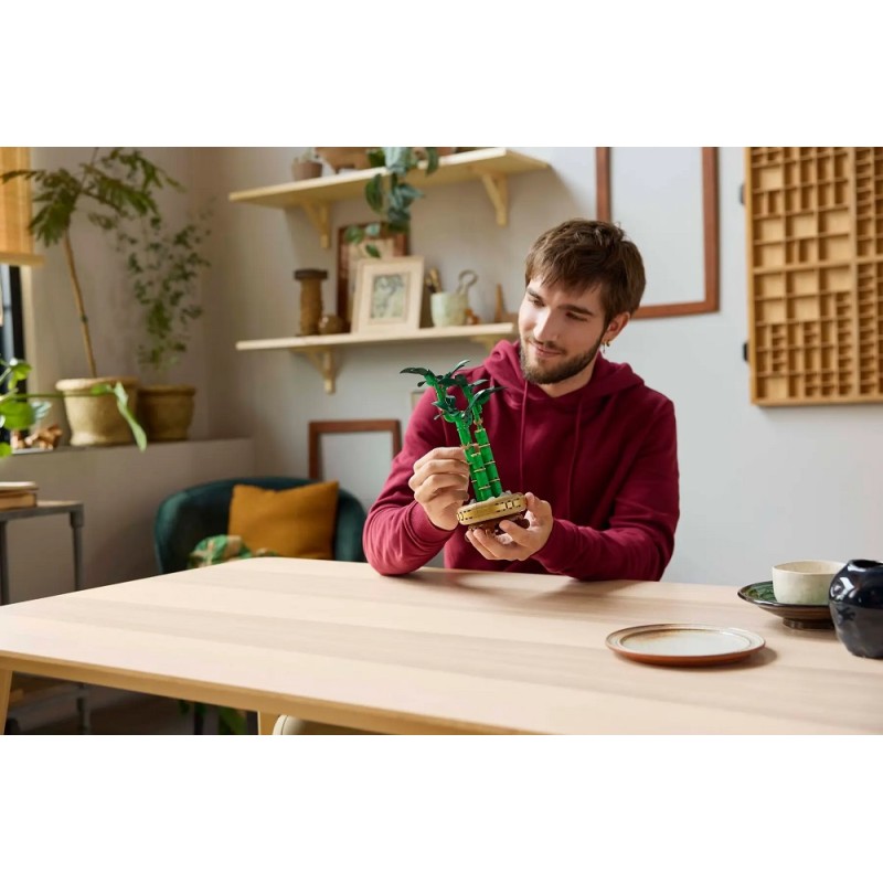 10344 Lego Драцена Сандера